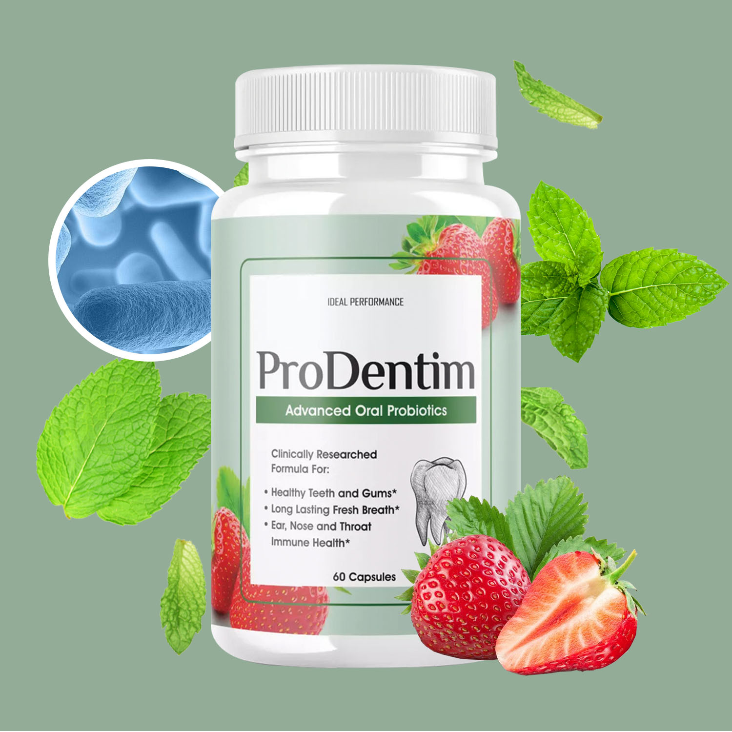 Digestive Enzyme Blend - Geavanceerde orale probiotica - verfrist de