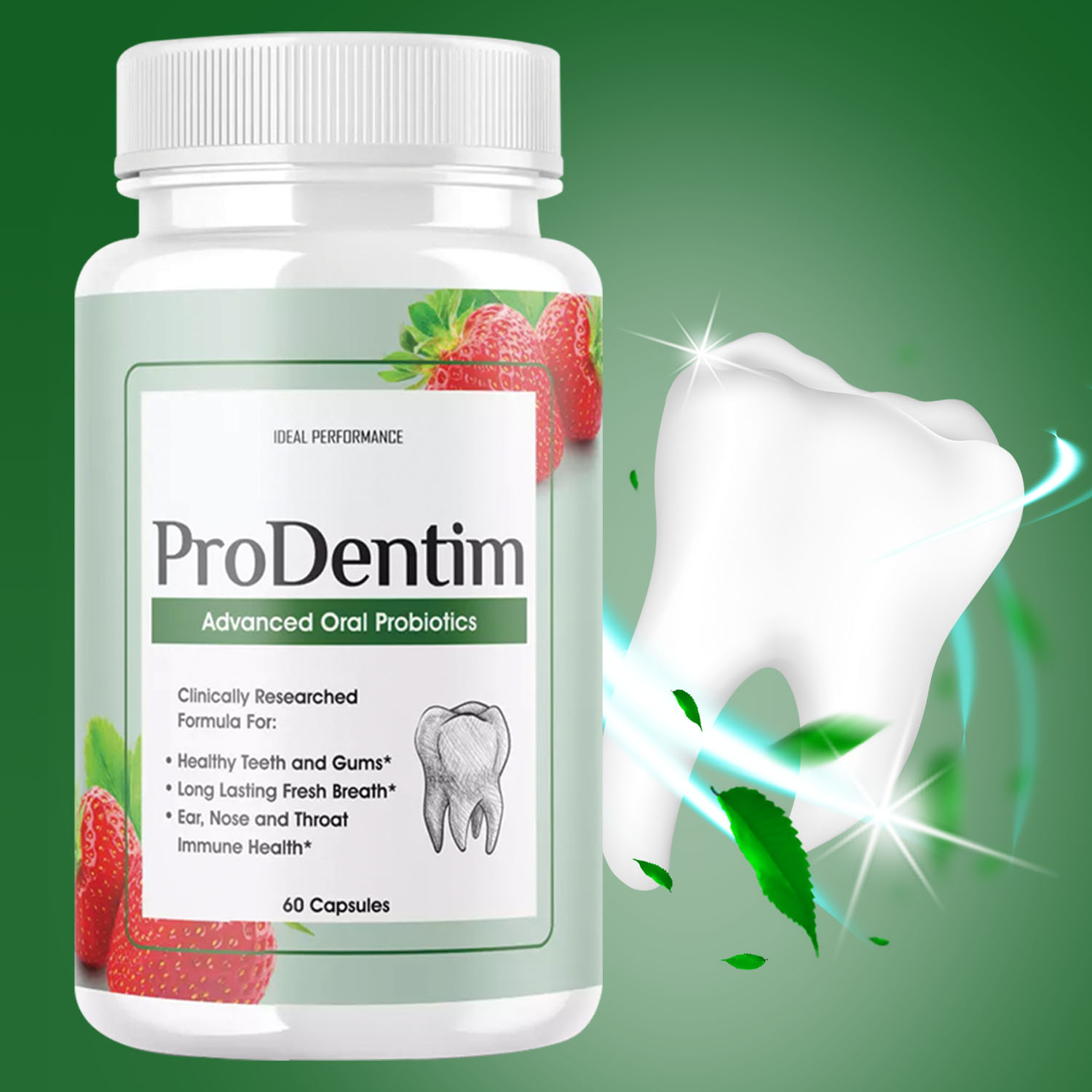 Digestive Enzyme Blend - Geavanceerde orale probiotica - verfrist de