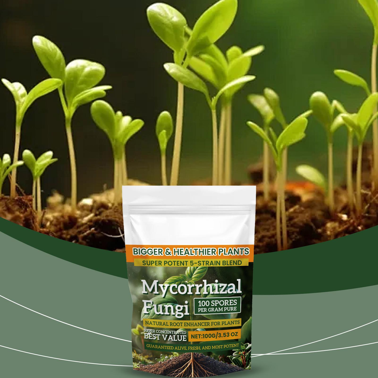 Roots Nutrition & Fitness Inglewood Photos - 100g Wortelverbeteraarpoeder Natuurlijke voeding Gebalanceerde formule