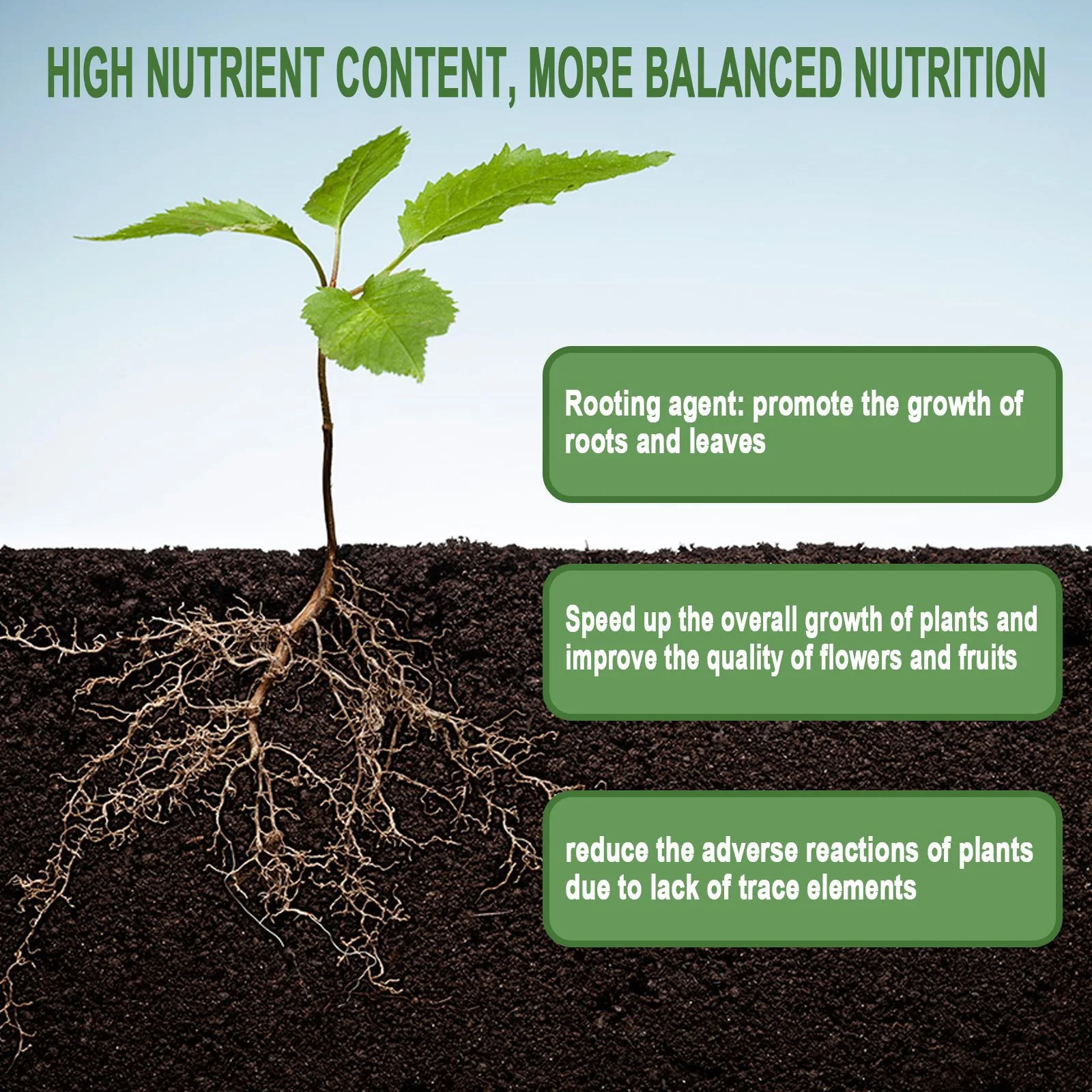 1 Zeldzame Plant Wroeten Poede - Roots Nutrition & Fitness Inglewood Photos recensie en prijs
