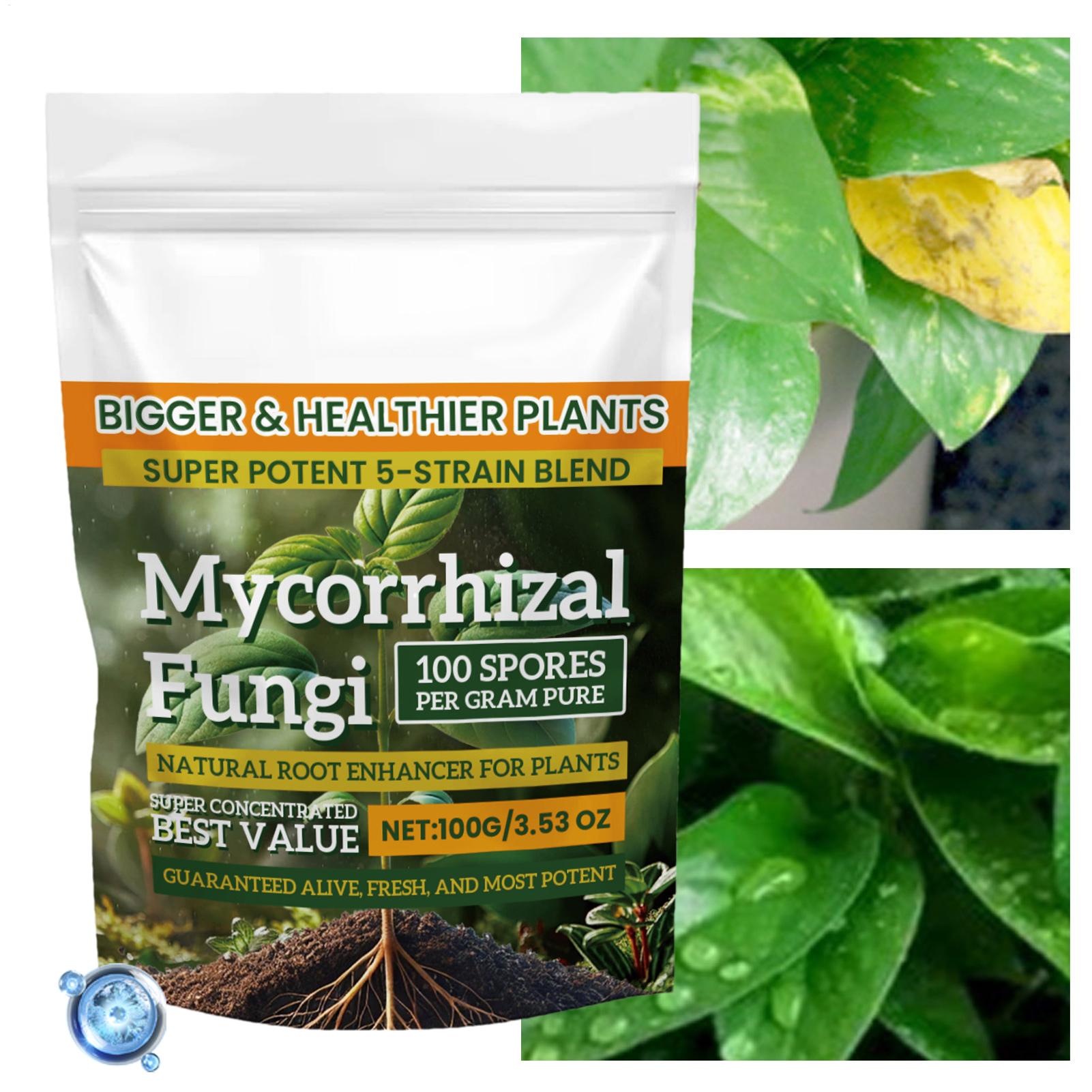 100g Biologisch plantenwortelv - Roots Nutrition & Fitness Inglewood Photos recensie en prijs